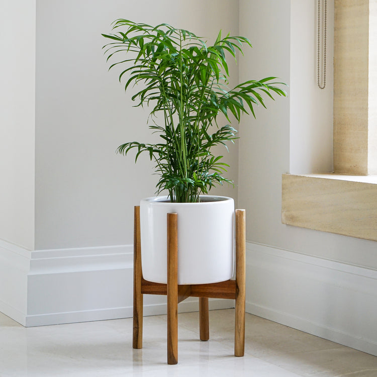 Modern Ceramic Indoor Planter with Wooden Stand