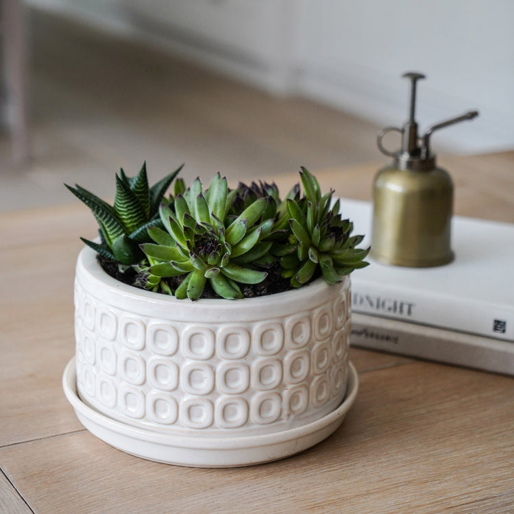Decorative Ceramic Indoor Planter Pot with Saucer
