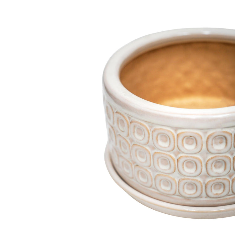 Decorative Ceramic Indoor Planter Pot with Saucer